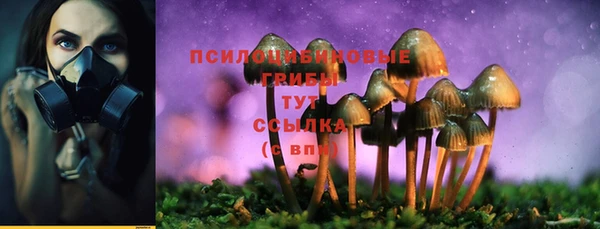 мяу мяу мука Кодинск