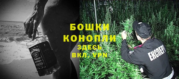 мяу мяу мука Кодинск