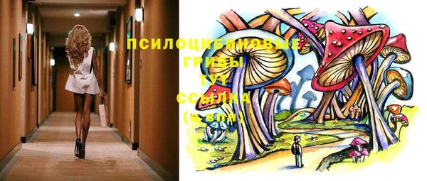 бошки Козельск
