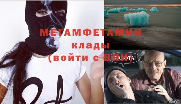 мяу мяу мука Кодинск