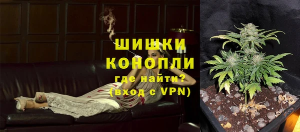 бошки Козельск