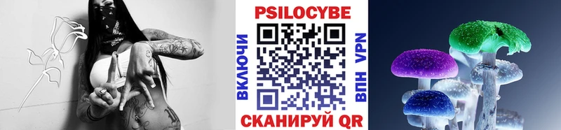 Купить закладки  Гвардейск  Галлюциногенные грибы Psilocybine cubensis 
